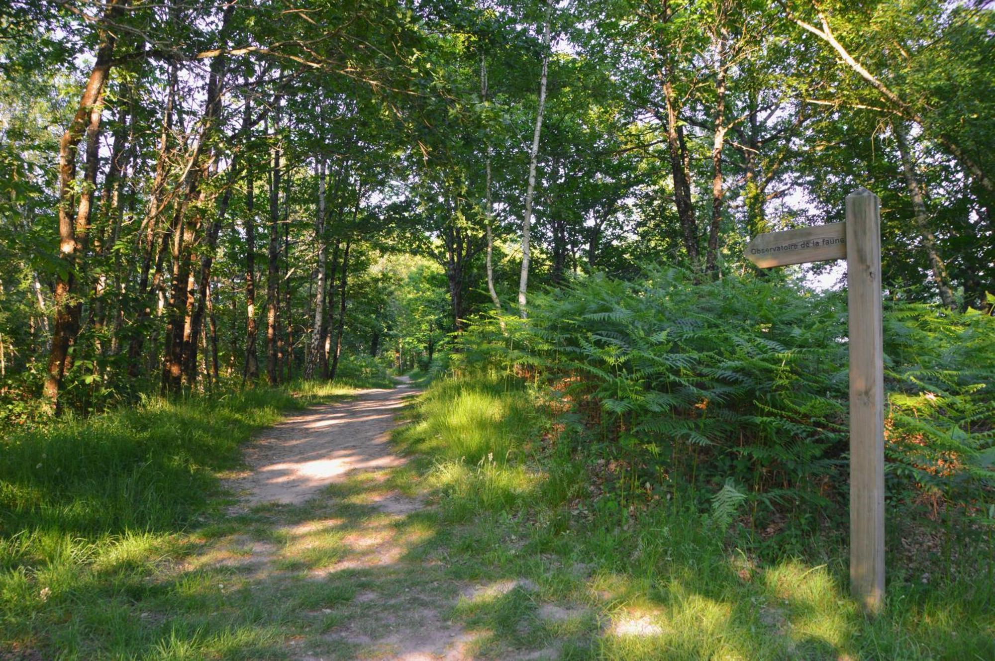 Le Clos Ecossais Aubigny-sur-Nère Exterior foto